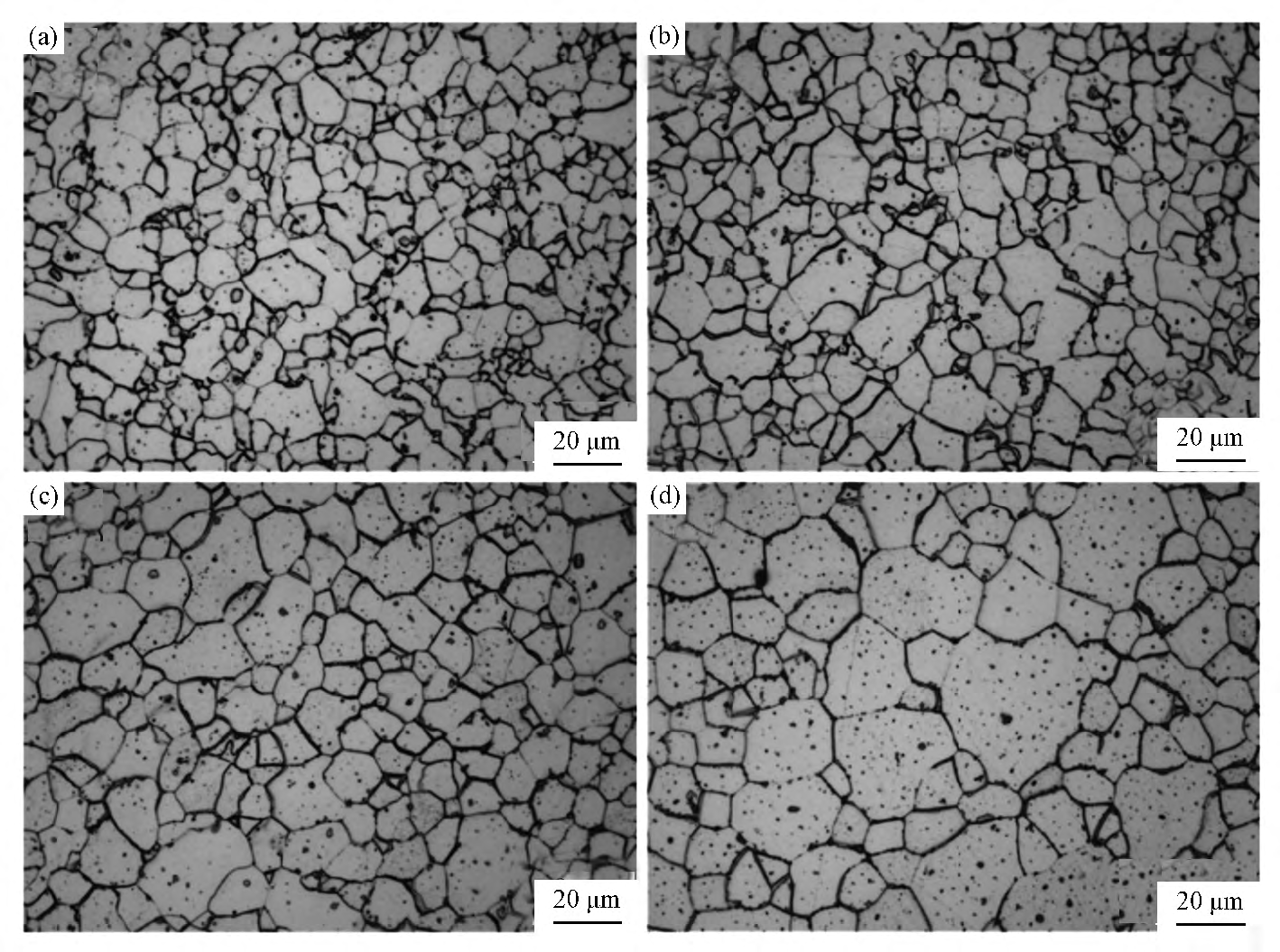08AL不同退火温度的金相图